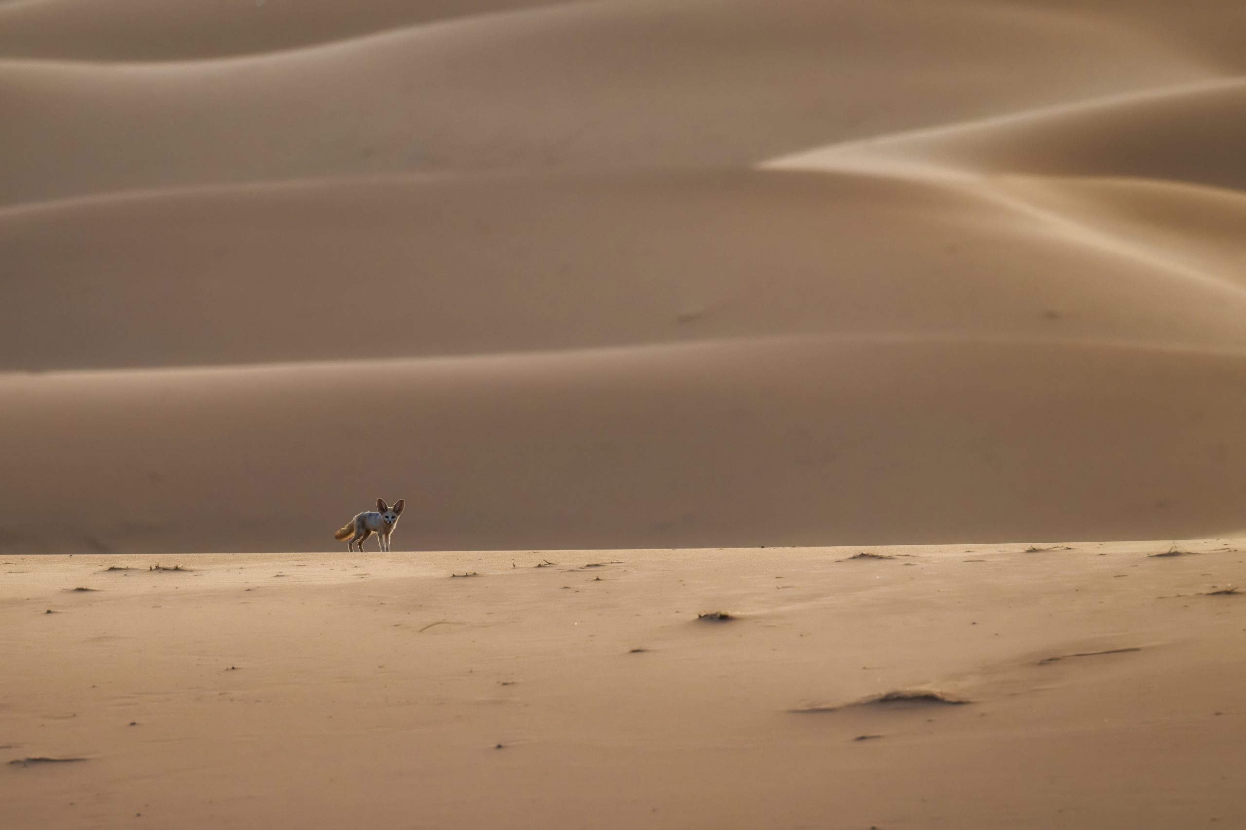Maroc 5