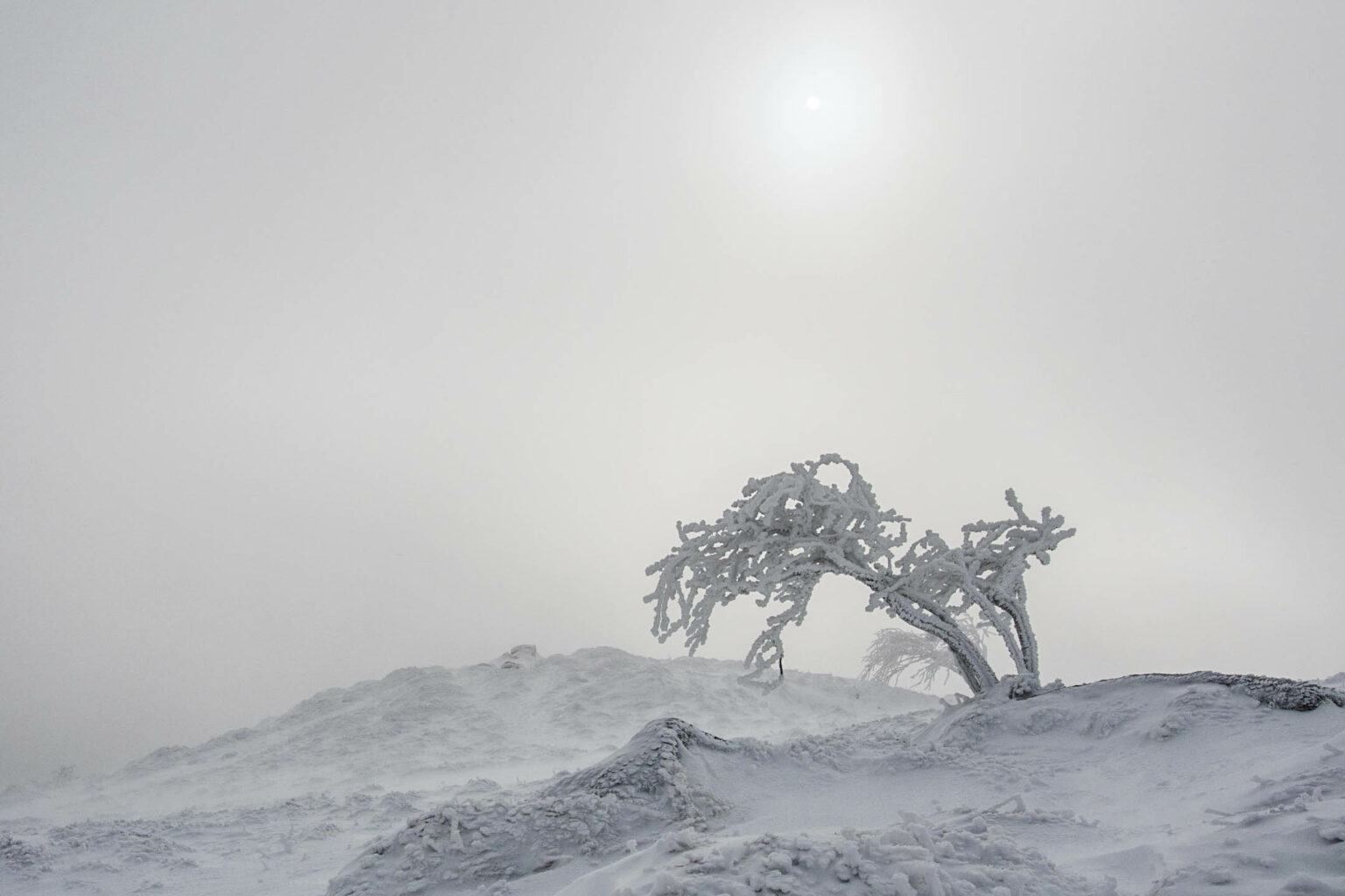 Vosges Hiver 9