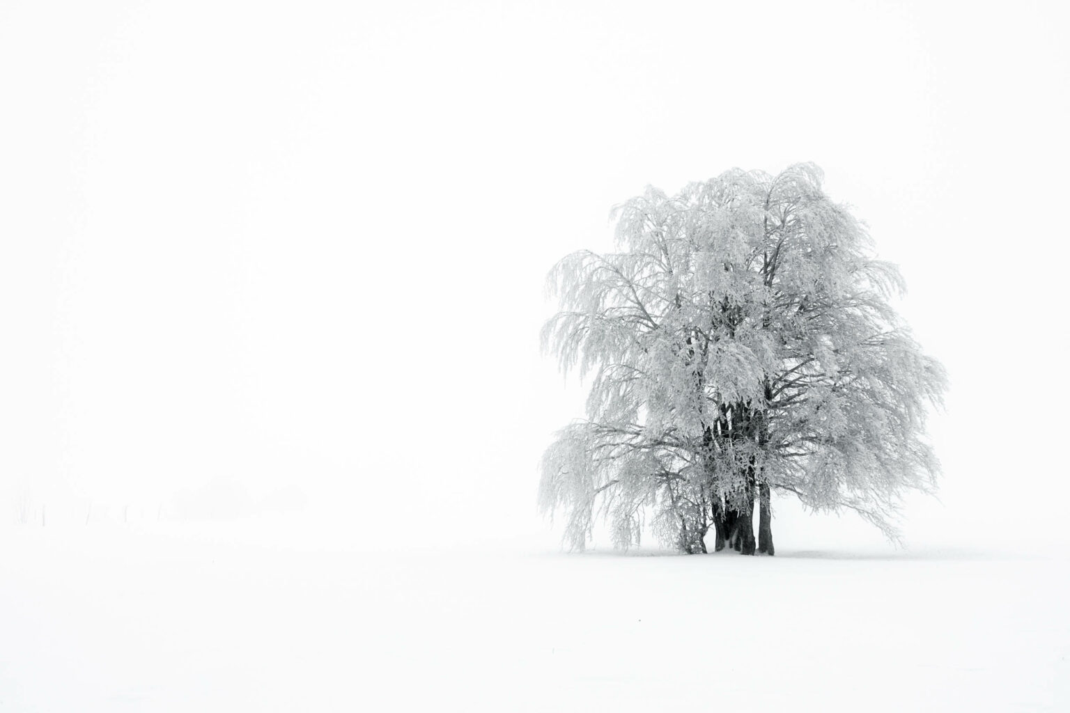 Vosges Hiver 1