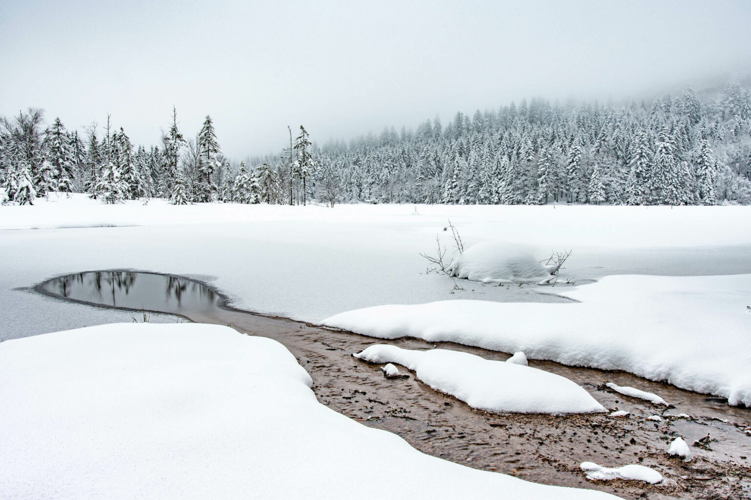 Vosges Hiver 7