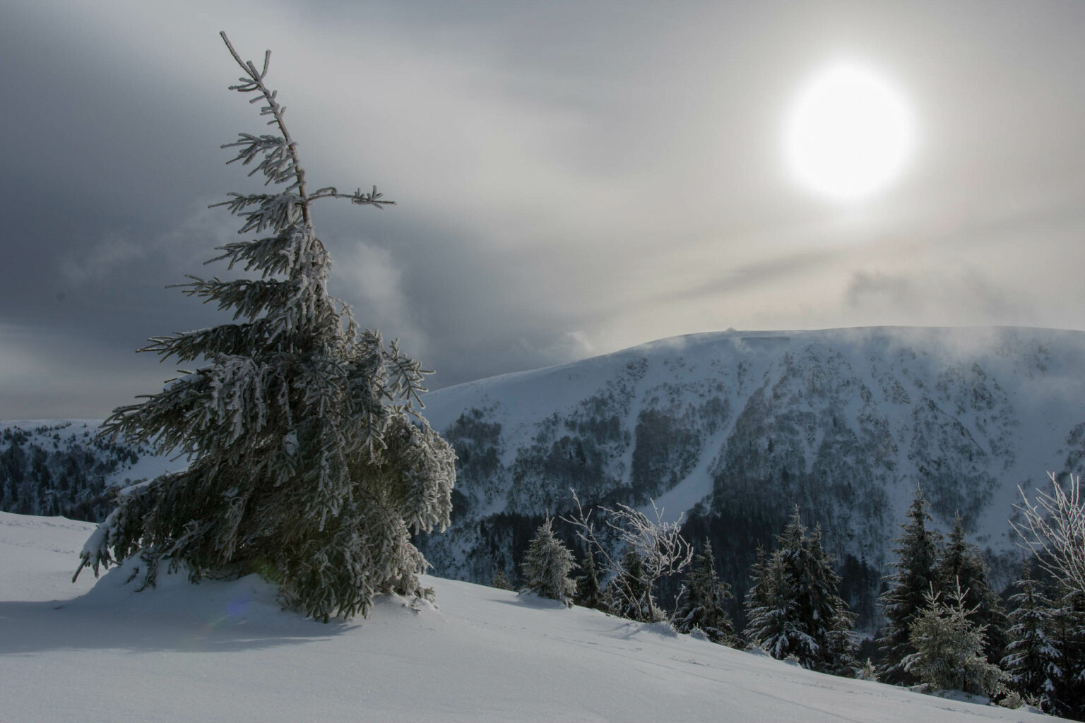 Vosges Hiver 10