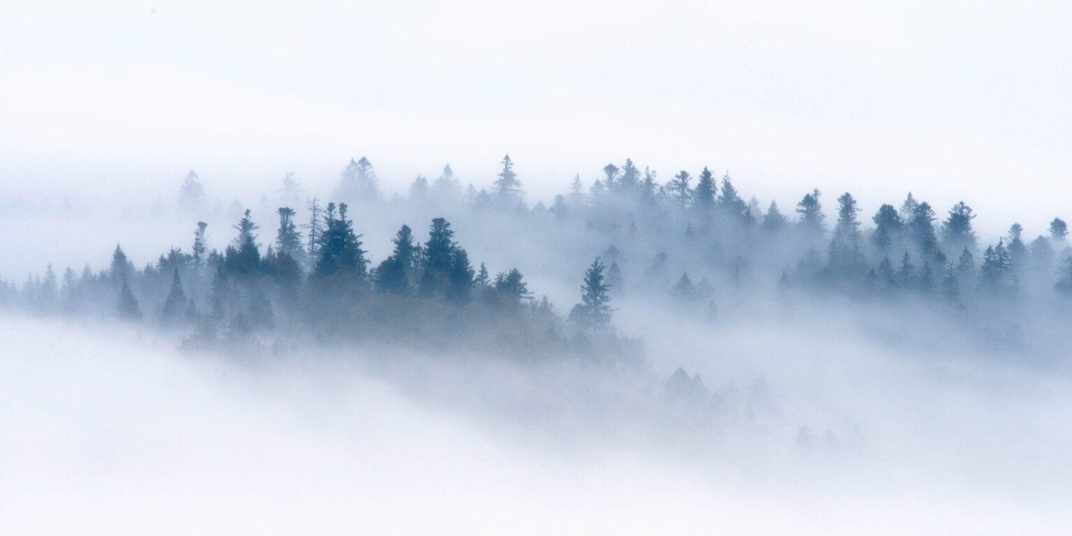 Vosges Hiver 2